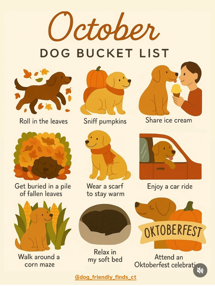 Dog Bucket List