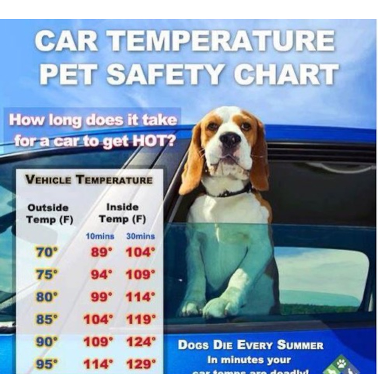 Temperature Safety Poster